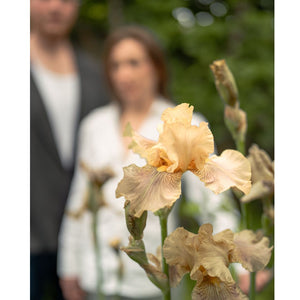 Open image in slideshow, SEACHTÓ ARTIST PORTRAITS
